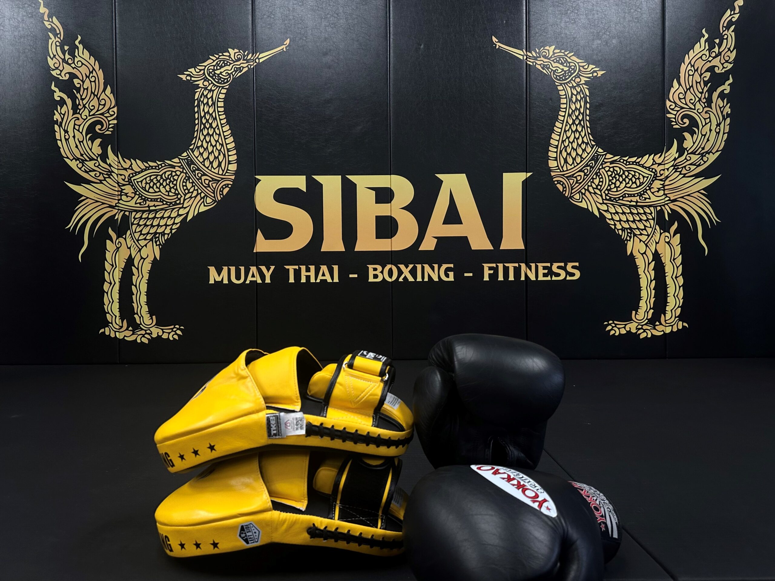 Muay Thai Boxing Gym Mug with Color Inside